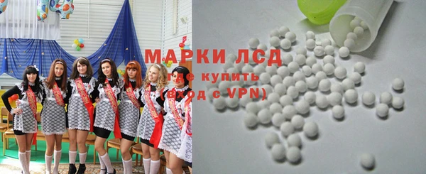PSILOCYBIN Вяземский